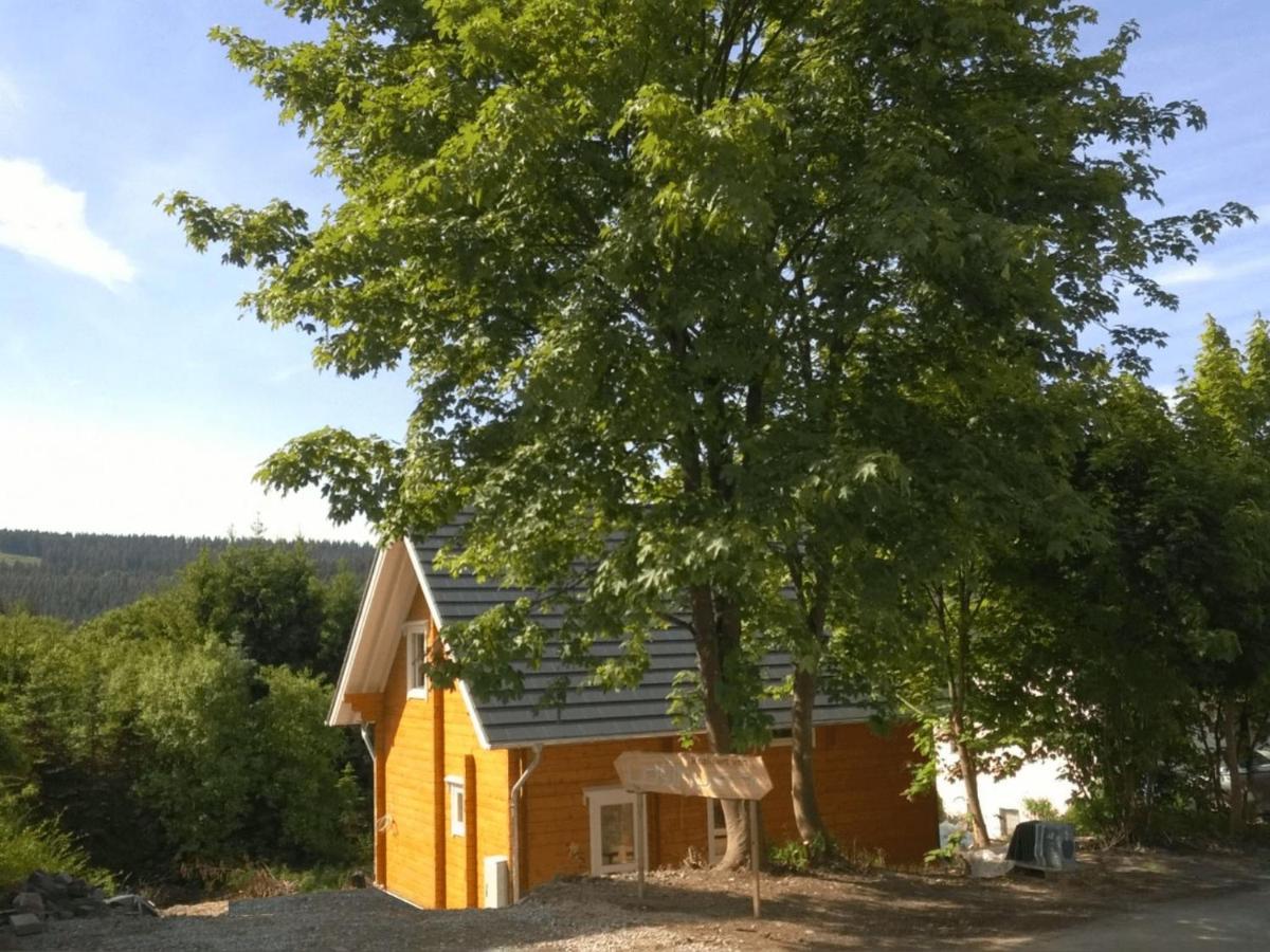 Wooden House With Sauna In K Stelberg Medebach Eksteriør billede